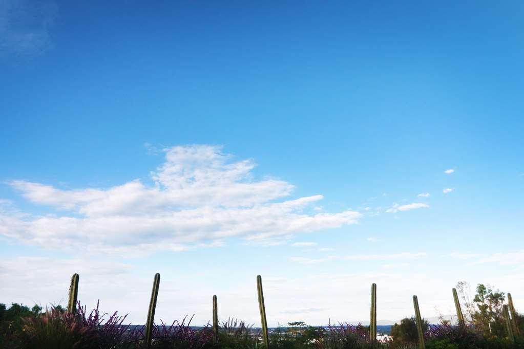 Albor San Miguel De Allende Tapestry Collection By Hilton Exterior foto
