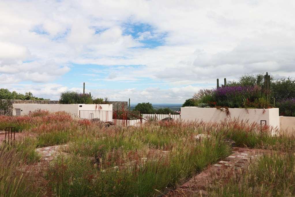 Albor San Miguel De Allende Tapestry Collection By Hilton Exterior foto